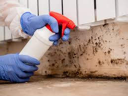 Biohazard Mold Removal in Fort Valley, GA